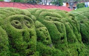Август 2015 甲申: время «Великих Комбинаторов»