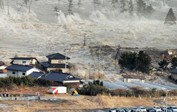 Начало Года Кролика (2011): Революции и землетрясения