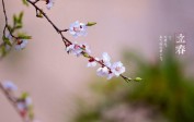Китайский Новый год